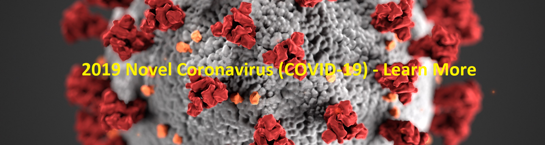 2019 Novel Coronavirus (COVID-19)